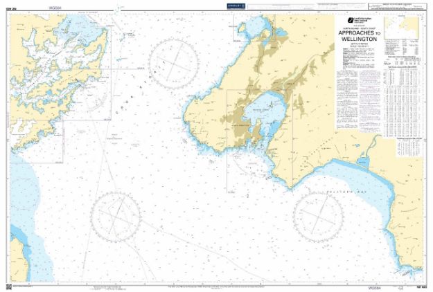 NZ463 - Approaches to Wellington